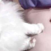 ヒメ日記 2025/08/15 04:24 投稿 べりぃ E+アイドルスクール新宿・歌舞伎町店