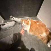 ヒメ日記 2025/11/05 18:14 投稿 べりぃ E+アイドルスクール新宿・歌舞伎町店