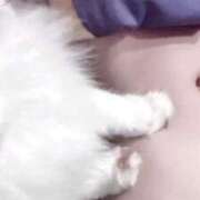 ヒメ日記 2025/11/23 19:24 投稿 べりぃ E+アイドルスクール新宿・歌舞伎町店