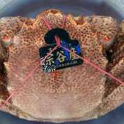 ヒメ日記 2025/10/21 10:10 投稿 おとは THE ESUTE 五反田店