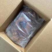 ヒメ日記 2025/10/21 14:01 投稿 おとは THE ESUTE 五反田店