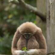 ヒメ日記 2025/11/07 02:20 投稿 おとは THE ESUTE 五反田店