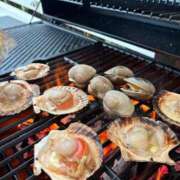 ヒメ日記 2025/11/22 17:32 投稿 おとは THE ESUTE 五反田店