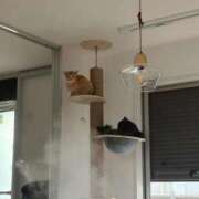 ヒメ日記 2026/01/02 14:40 投稿 おとは THE ESUTE 五反田店