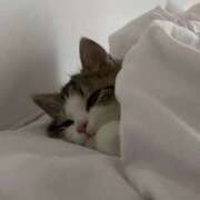 ヒメ日記 2025/08/31 08:42 投稿 ちはる アラカルト