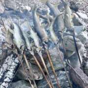 ヒメ日記 2025/07/24 17:56 投稿 みいな アイムシェイク