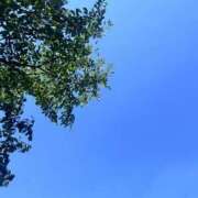 ヒメ日記 2025/07/30 13:40 投稿 みいな アイムシェイク