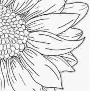 ヒメ日記 2025/08/13 12:30 投稿 みいな アイムシェイク