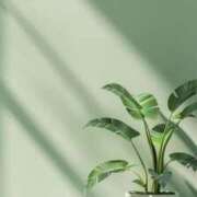 ヒメ日記 2025/08/14 09:47 投稿 みいな アイムシェイク