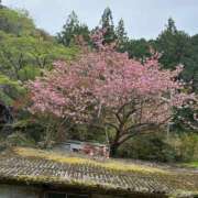 ヒメ日記 2026/04/19 18:03 投稿 みつり シンデレラ【平均年齢20才、風俗未経験の娘が8割以上】