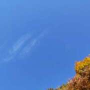 ゆゆ未経験 12/28のお礼♡ マダム可憐