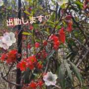 ヒメ日記 2026/03/29 11:56 投稿 ゆゆ未経験 マダム可憐