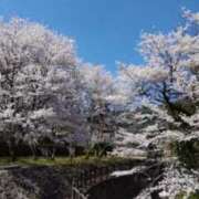 ゆゆ未経験 こんばんは🌙 マダム可憐