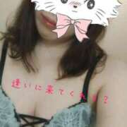 ヒメ日記 2026/04/12 09:33 投稿 ゆゆ未経験 マダム可憐