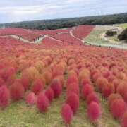 ヒメ日記 2026/03/10 10:07 投稿 このみ 大龍