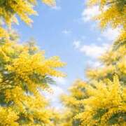 ヒメ日記 2026/03/15 13:11 投稿 みさ 若妻淫乱倶楽部 久喜店