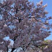 みさ 出勤したよぉ♡ 若妻淫乱倶楽部 久喜店