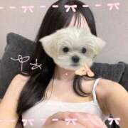 ヒメ日記 2025/08/25 07:43 投稿 一ノ瀬ゆあ MIRAI TOKYO 六本木店