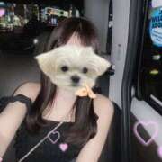 ヒメ日記 2025/09/19 03:42 投稿 一ノ瀬ゆあ MIRAI TOKYO 六本木店