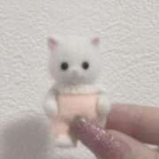 ヒメ日記 2025/07/14 03:57 投稿 せいな 新宿スピン