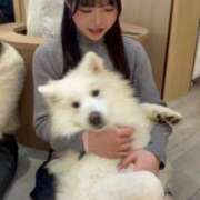 ヒメ日記 2025/11/24 18:00 投稿 みや JAPAN CLUB BUNNY LOUNGE