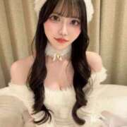 ヒメ日記 2025/11/25 10:00 投稿 みや JAPAN CLUB BUNNY LOUNGE