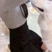 ヒメ日記 2025/11/26 18:00 投稿 みや JAPAN CLUB BUNNY LOUNGE