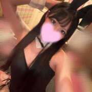 みや たまにある JAPAN CLUB BUNNY LOUNGE