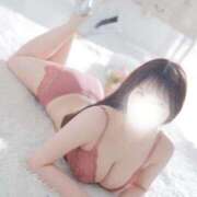 ヒメ日記 2025/08/05 14:42 投稿 桜（さくら） 男爵