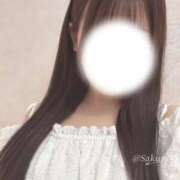 ヒメ日記 2025/08/27 16:54 投稿 桜（さくら） 男爵