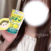 ヒメ日記 2025/09/01 23:58 投稿 桜（さくら） 男爵