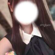 ヒメ日記 2025/09/26 10:10 投稿 桜（さくら） 男爵