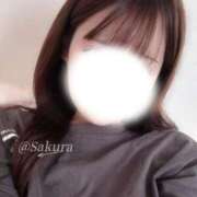 桜（さくら） ありがとうございました🐱🌸 男爵