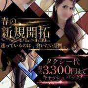 ヒメ日記 2026/04/03 14:35 投稿 エマ 谷町人妻ゴールデン倶楽部