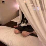 ヒメ日記 2025/08/31 18:28 投稿 ふみな 大塚アテネ