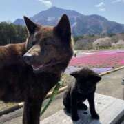 ヒメ日記 2025/11/22 07:32 投稿 瀬戸　あさひ エンジェルコースト