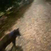 ヒメ日記 2025/11/24 20:58 投稿 瀬戸　あさひ エンジェルコースト