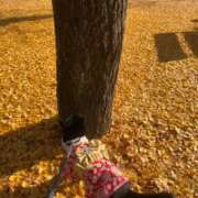 ヒメ日記 2025/11/28 08:08 投稿 瀬戸 あさひ エンジェルコースト