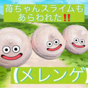 ヒメ日記 2025/12/21 19:27 投稿 瀬戸　あさひ エンジェルコースト