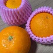 ヒメ日記 2025/12/31 23:42 投稿 瀬戸　あさひ エンジェルコースト