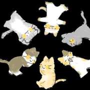 ヒメ日記 2026/02/27 07:00 投稿 瀬戸　あさひ エンジェルコースト