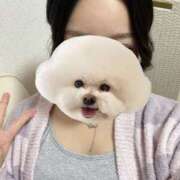 ヒメ日記 2025/10/23 10:22 投稿 入野りの AJ DOLLS(エージェイドールズ)