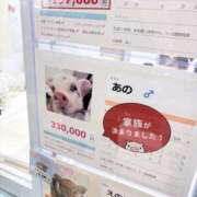 ヒメ日記 2026/01/04 22:40 投稿 仲本　あの 八王子だョ！変態集合