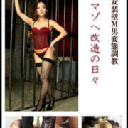 ヒメ日記 2026/03/08 21:13 投稿 仲本　あの 八王子だョ！変態集合