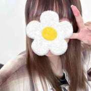 ヒメ日記 2025/12/07 22:30 投稿 ゆのみ ぷりぷりプリン つくば店