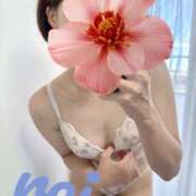 ヒメ日記 2025/07/19 12:48 投稿 れい 藤沢人妻城