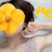 ヒメ日記 2025/08/03 08:09 投稿 れい 藤沢人妻城