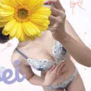 ヒメ日記 2025/09/06 14:16 投稿 れい 藤沢人妻城