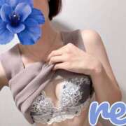 ヒメ日記 2025/09/13 09:49 投稿 れい 藤沢人妻城