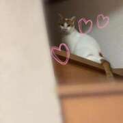 ヒメ日記 2025/07/15 14:01 投稿 はづき 大宮おかあさん